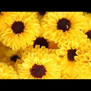 Meet your Posher, Aryanna